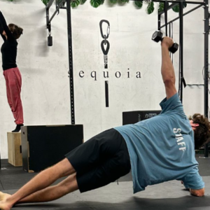 Sequoia Movement